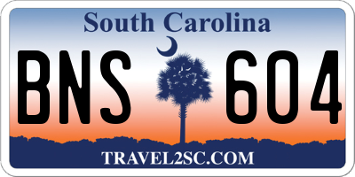 SC license plate BNS604
