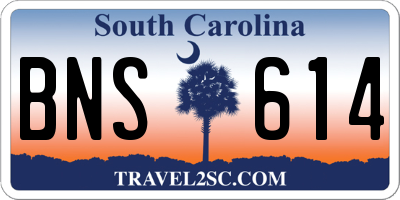 SC license plate BNS614