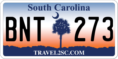SC license plate BNT273