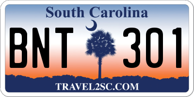 SC license plate BNT301