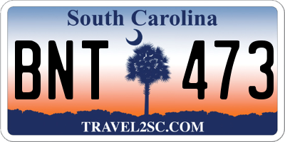 SC license plate BNT473