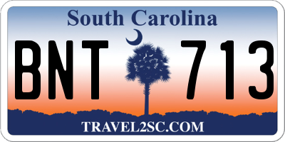 SC license plate BNT713
