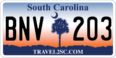 SC license plate BNV203
