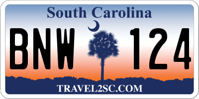 SC license plate BNW124