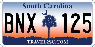 SC license plate BNX125