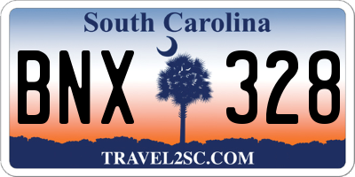 SC license plate BNX328