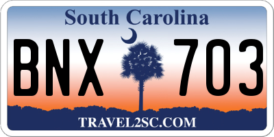 SC license plate BNX703