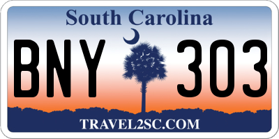 SC license plate BNY303