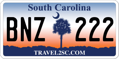 SC license plate BNZ222