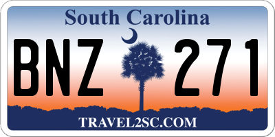 SC license plate BNZ271