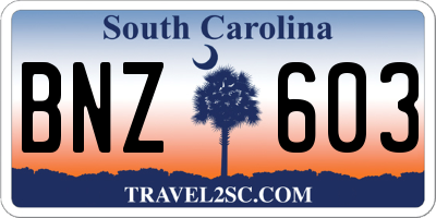 SC license plate BNZ603