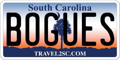 SC license plate BOGUES