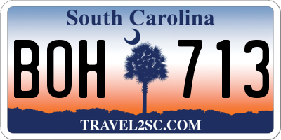 SC license plate BOH713