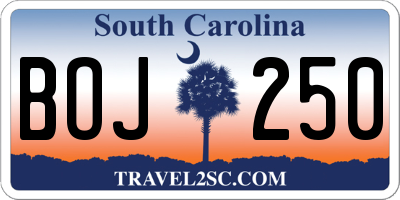 SC license plate BOJ250