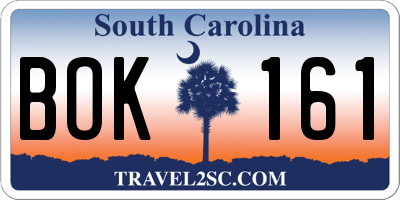 SC license plate BOK161