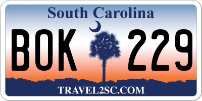 SC license plate BOK229