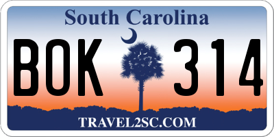 SC license plate BOK314