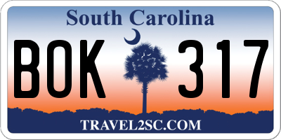 SC license plate BOK317