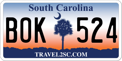 SC license plate BOK524