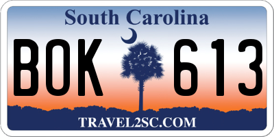 SC license plate BOK613
