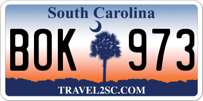 SC license plate BOK973