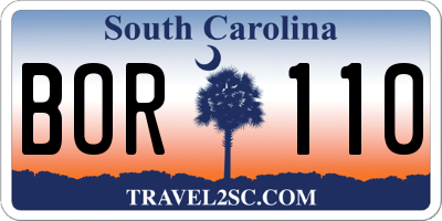 SC license plate BOR110