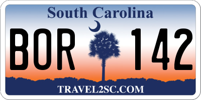 SC license plate BOR142