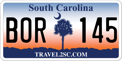 SC license plate BOR145