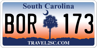 SC license plate BOR173