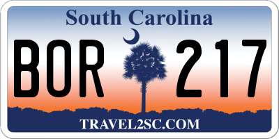 SC license plate BOR217