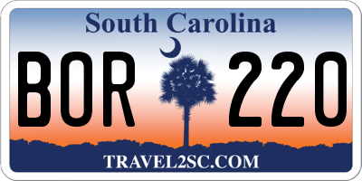 SC license plate BOR220