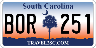 SC license plate BOR251