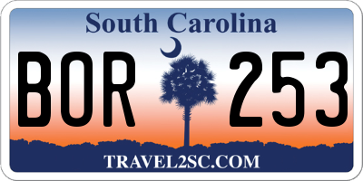 SC license plate BOR253