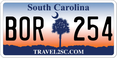 SC license plate BOR254