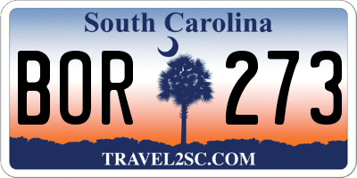SC license plate BOR273