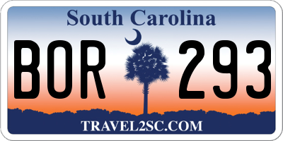 SC license plate BOR293