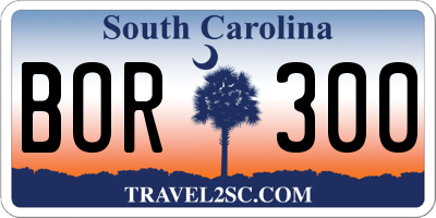 SC license plate BOR300