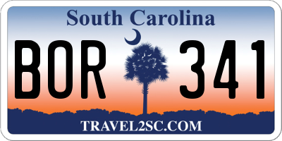 SC license plate BOR341