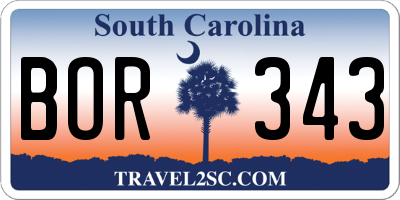 SC license plate BOR343