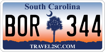 SC license plate BOR344
