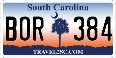 SC license plate BOR384