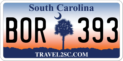 SC license plate BOR393