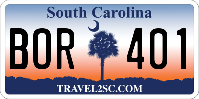 SC license plate BOR401