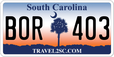 SC license plate BOR403