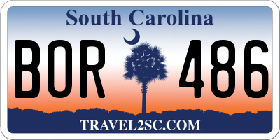 SC license plate BOR486