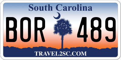 SC license plate BOR489