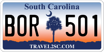 SC license plate BOR501