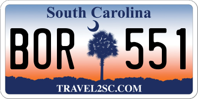 SC license plate BOR551