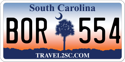 SC license plate BOR554