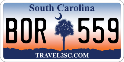 SC license plate BOR559